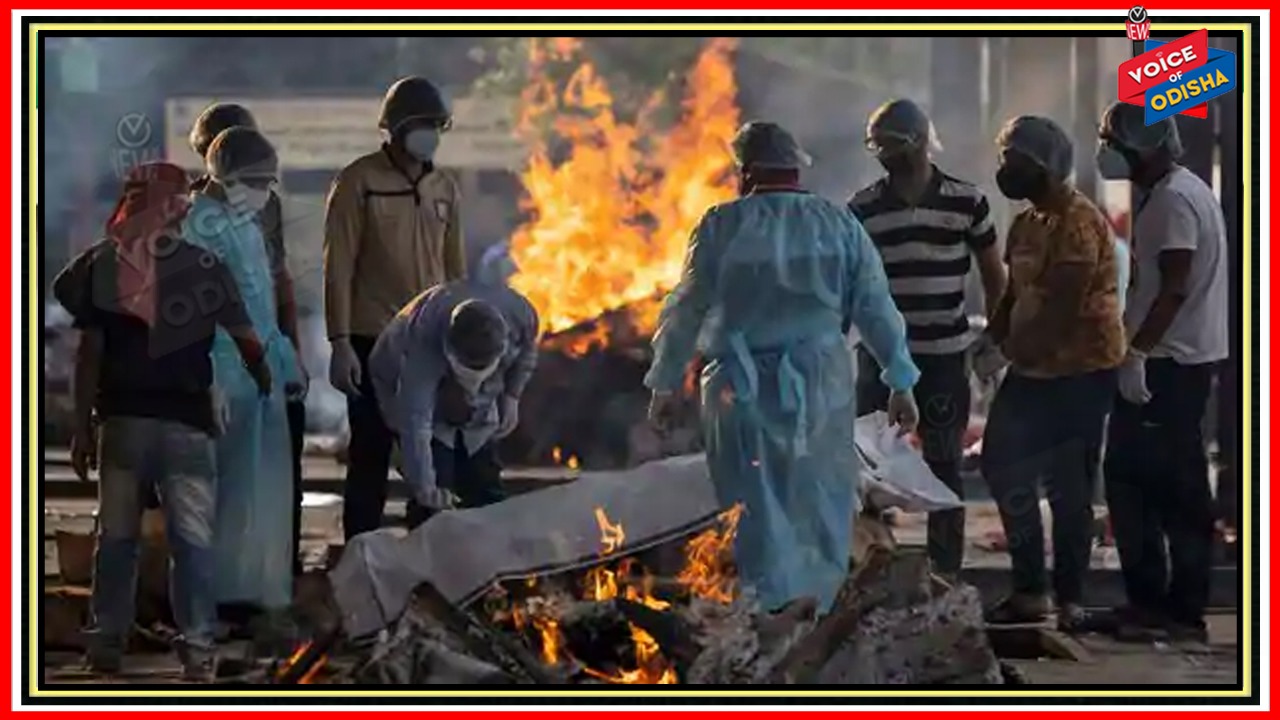 ଦେଶରେ ଗୋଟିଏ ଦିନରେ କରୋନା ନେଲା ୯୭୯ ଜଣଙ୍କ ଜୀବନ