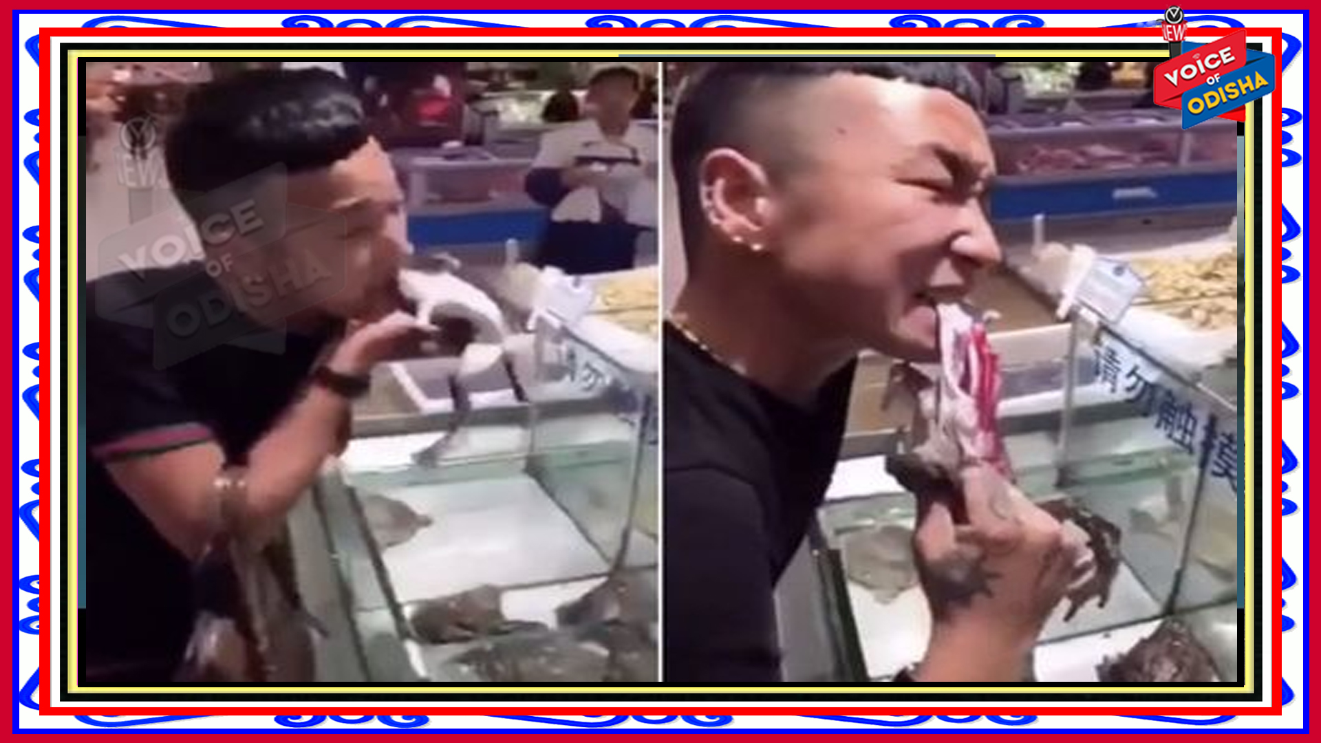 ଯୌନଶକ୍ତି ବଢାଇବା ପାଇଁ ଜୀଅନ୍ତା ବେଙ୍ଗ ଖାଇଲେ ଚୀନ୍ ଯୁବକ