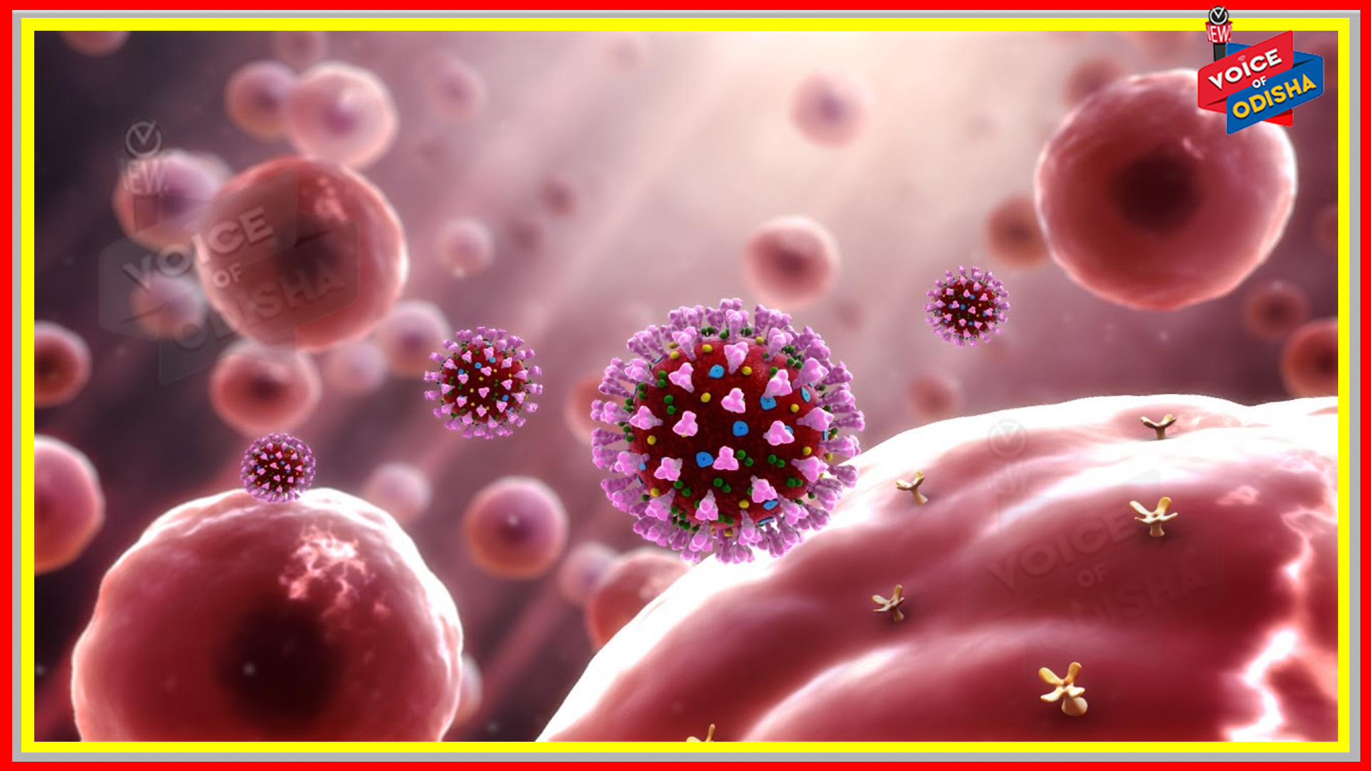 ପୁଣି କରୋନାର ଆଉ ଏକ ପ୍ରଜାତି ‘କପ୍ପା’ ଚିହ୍ନଟ, ଜାଣନ୍ତୁ ଏହି ପ୍ରଜାତି କେତେ ଭୟଙ୍କର