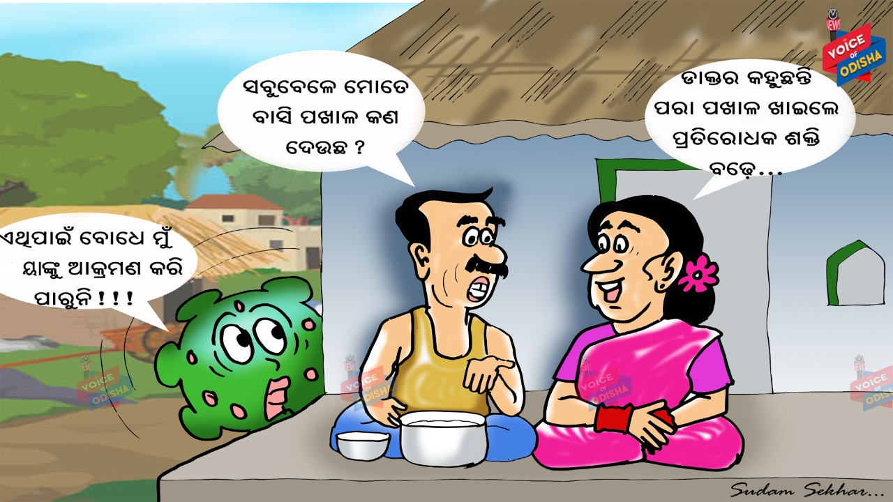 ସବୁବେଳେ ମୋତେ କଣ ବାସି ପଖାଳ କଣ ଦେଉଛ ?