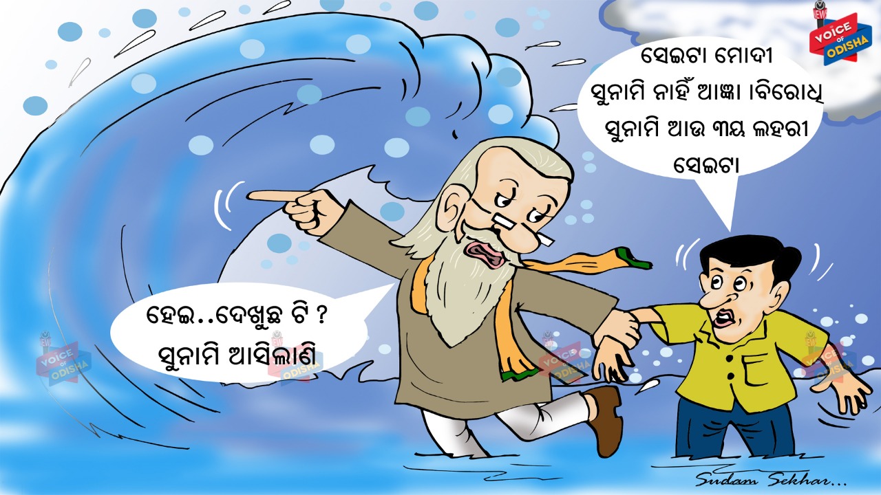 ହେଇ... ଦେଖୁଛ ଟି? ସୁନାମି ଆସିଲାଣି