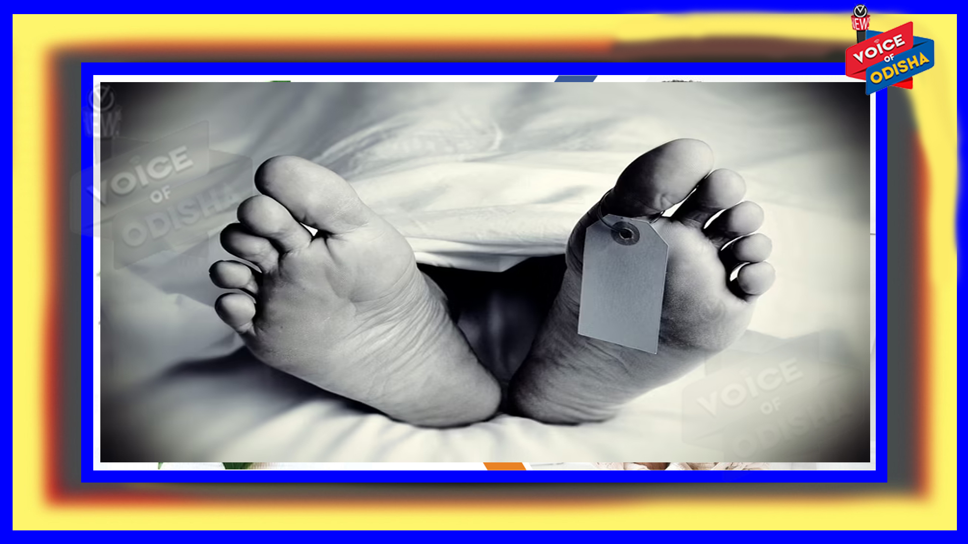 ଆଦର୍ଶ ଶିକ୍ଷକ ଦାମୋଦର ପତିଙ୍କ ପରଲୋକ