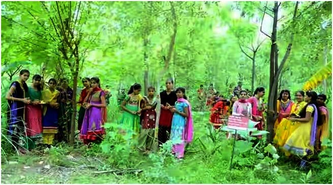ଝିଅ ଜନ୍ମ ହେଲେ ଲଗାଯାଉଛି ଗଛ, ଜାଣନ୍ତୁ କେଉଁଠି?