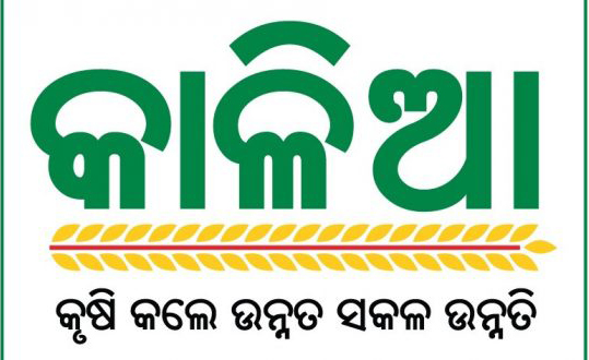 ନୂଆଖାଇରେ ମିଳିବ କାଳିଆ ଟଙ୍କା