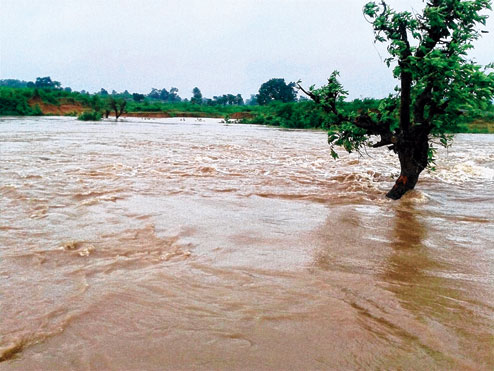 ଋଷିକୂଲ୍ୟା, ନାଗାବଳୀ, ବଂଶଧାରାରେ ଆସିପାରେ ବନ୍ୟା