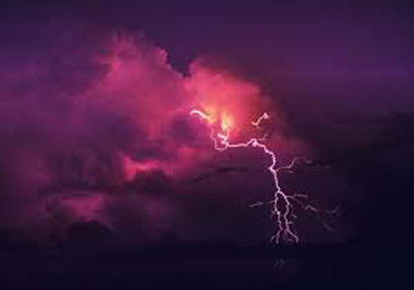 ବଜ୍ରପାତରେ ୨୨ ଗୃହପାଳିତ ପଶୁ ମୃତ