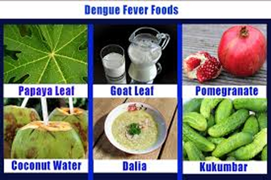 ଡେଙ୍ଗୁ ପାଇଁ ଏସବୁ ଲାଭଦାୟକ