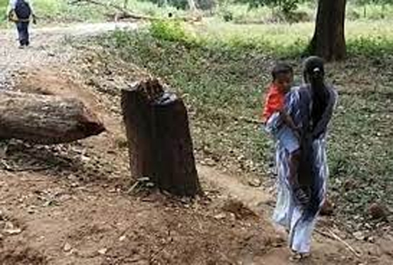 ମାଓବାଦୀଙ୍କ କବ୍‌ଜାରେ ସ୍ବାମୀ, ପୁଅକୁ ଧରି ଜଙ୍ଗଲରେ ପତ୍ନୀ