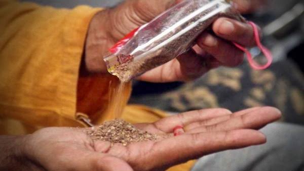 ଚାଲିଥିଲା ନକଲି ଗୁଟଖା କାରଖାନା 