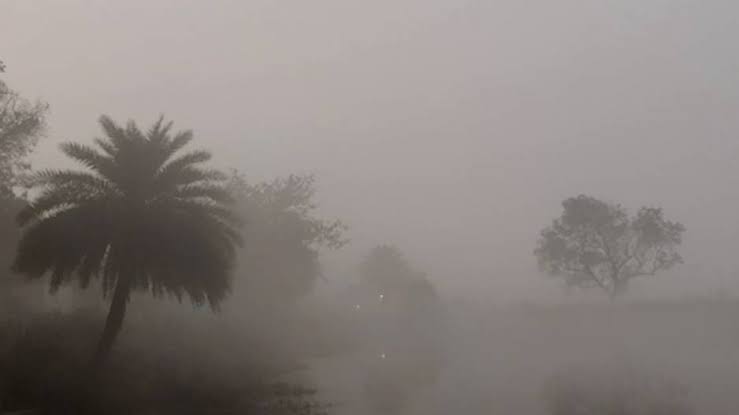 ୧୧ରୁ ଶୀତର ପ୍ରକୋପ ବଢିବ