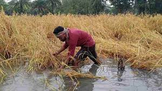 ବାତ୍ୟା ଜୱାଦ ପ୍ରଭାବ, ଆସିଲା କ୍ଷୟକ୍ଷତି ରିପୋର୍ଟ