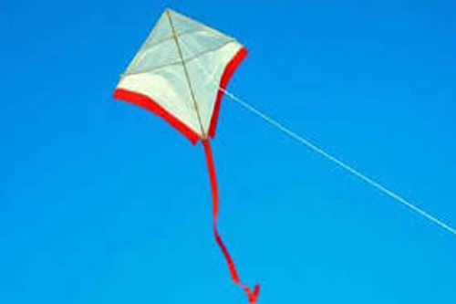 ପୁଣି ଗୁଡ଼ି ସାଜିଲା କାଳ, ସଂଘର୍ଷରେ ବାପ, ପୁଅ ଗୁରୁତର