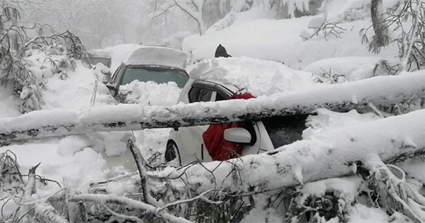 ବରଫ ତଳେ ୨୨ ଜୀବନ, ଜାଣନ୍ତୁ ପୂରା ଘଟଣା