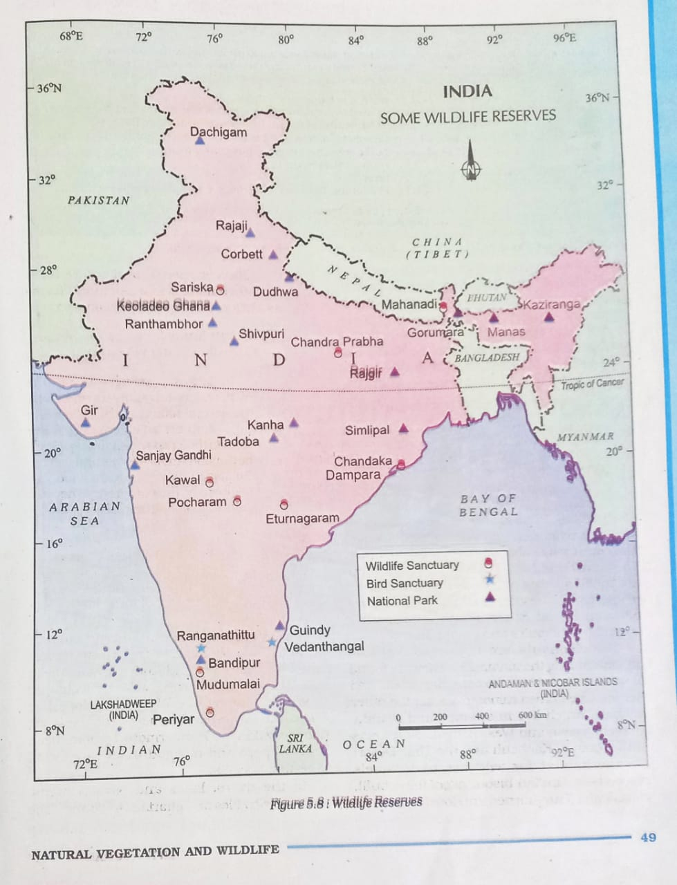 ସବିଏସ୍‌ଇ ବହିରେ ଭୁଲ୍‌ ପାଠ