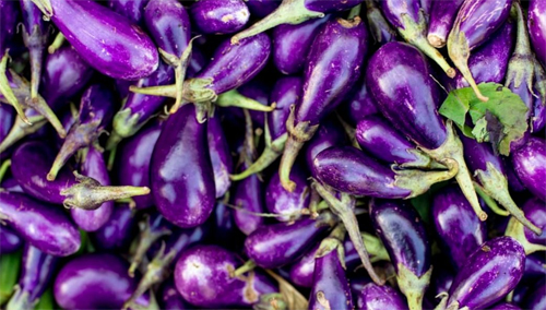 ବାଇଗଣ ଖାଉଛନ୍ତି ଯଦି ଜାଣନ୍ତୁ ଏଥିରେ ରହିଥିବା କିଛି ସମସ୍ୟା