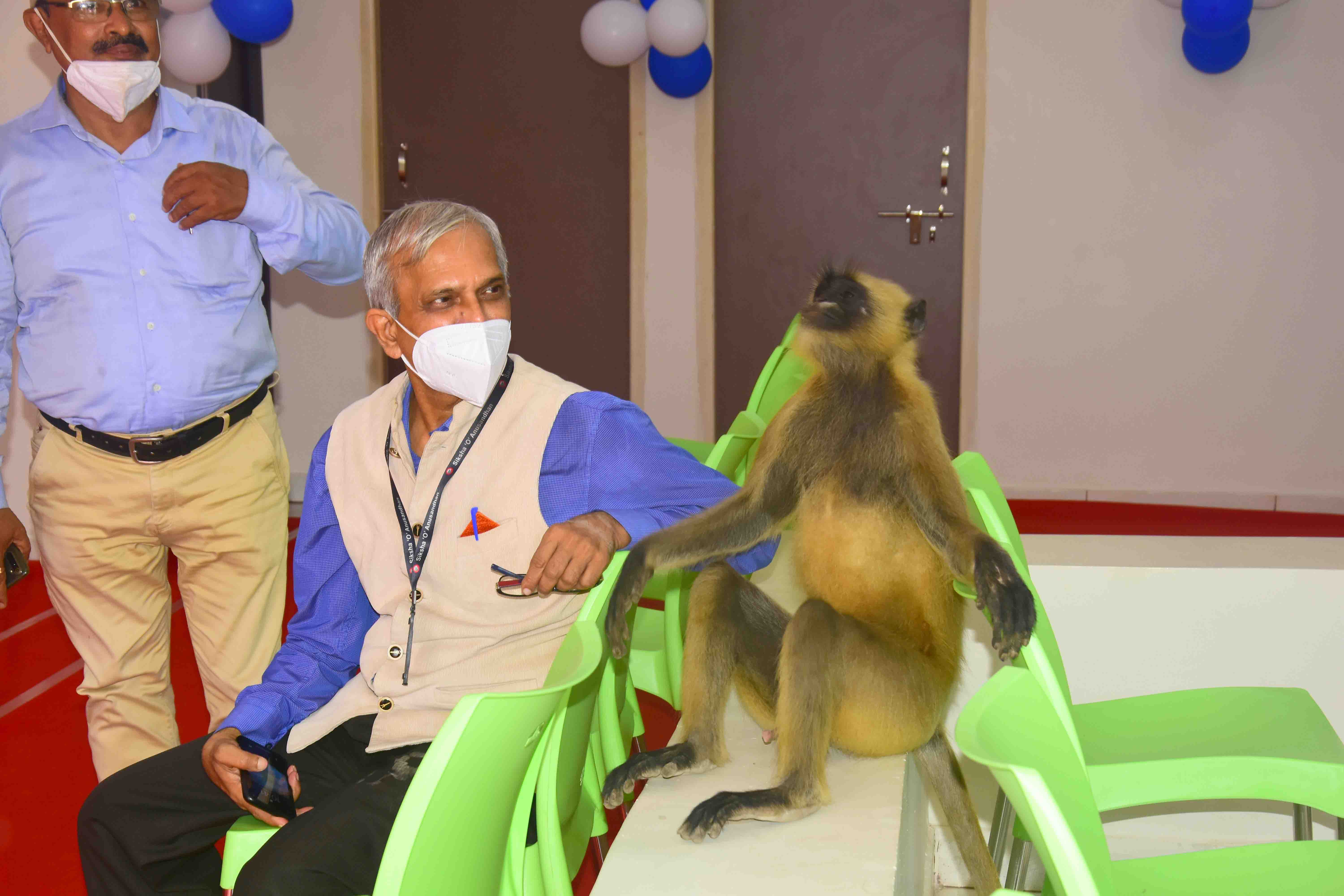  ହସ୍ପିଟାଲକୁ ନିଜେ ଆସିଲା ହନୁ, ଅପରେସନ ପରେ ଗଲା 