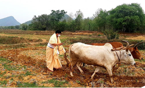 କୃଷିମନ୍ତ୍ରୀଙ୍କ ଅକ୍ଷିମୁଠି ଅନୁକୂଳ