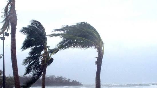 ସମ୍ଭାବ୍ୟ ବାତ୍ୟା ନେଇ ଆଇଏମଡି ଡିଜି କହିଲେ...