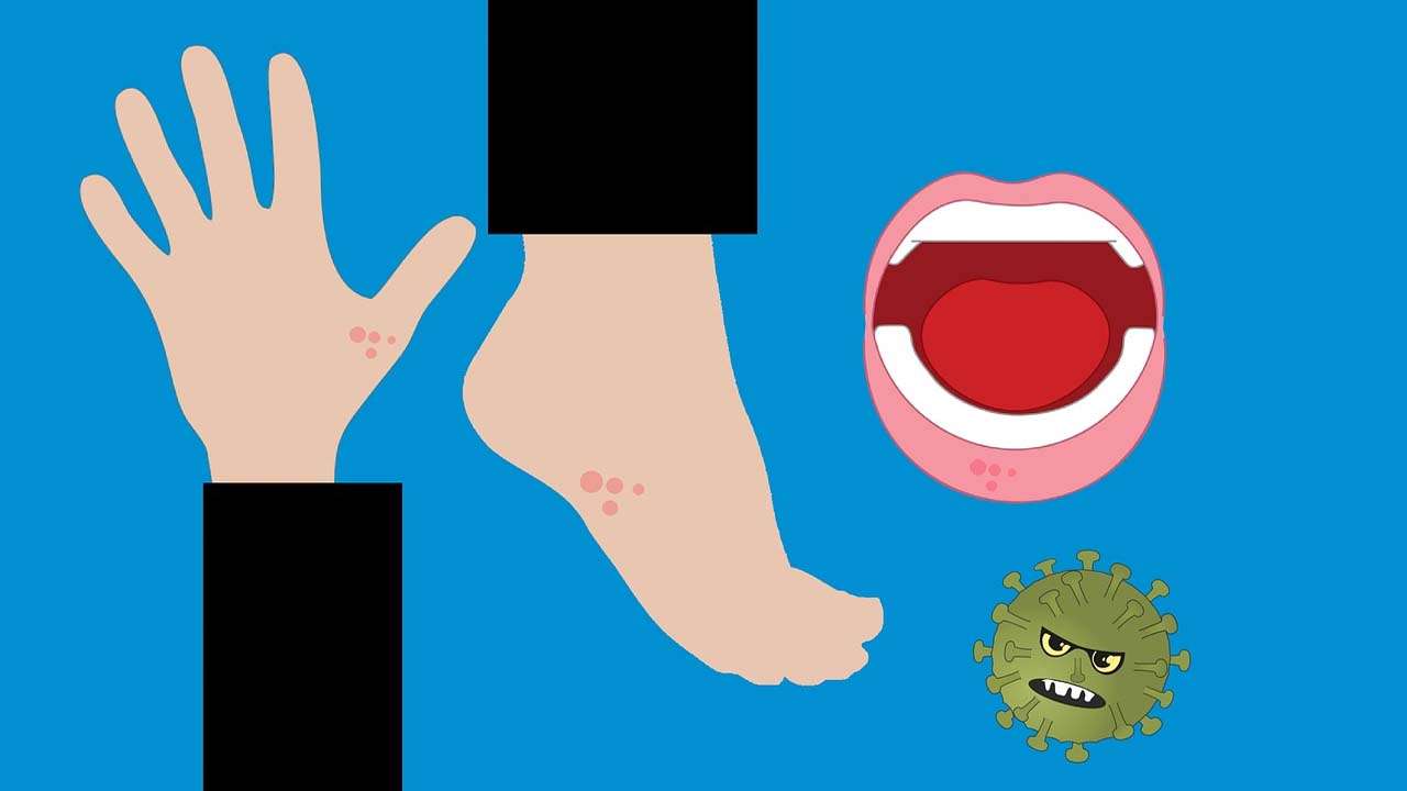 ଟମାାଟୋ ଫ୍ଲୁ ଭାଇରସ୍ ପାଇଁ ହାଇଆଲର୍ଟ