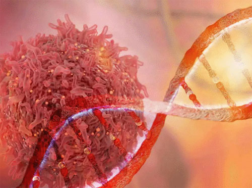 କ୍ୟାନସ୍‌ରର ଚିକିତ୍ସା ଲାଗି ମିଳିଲା ଔଷଧ!