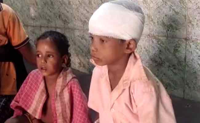 ଗଜରାଜ ଆତଙ୍କ, ୨ଛୁଆଙ୍କୁ କଚାଡି ଦେଲା