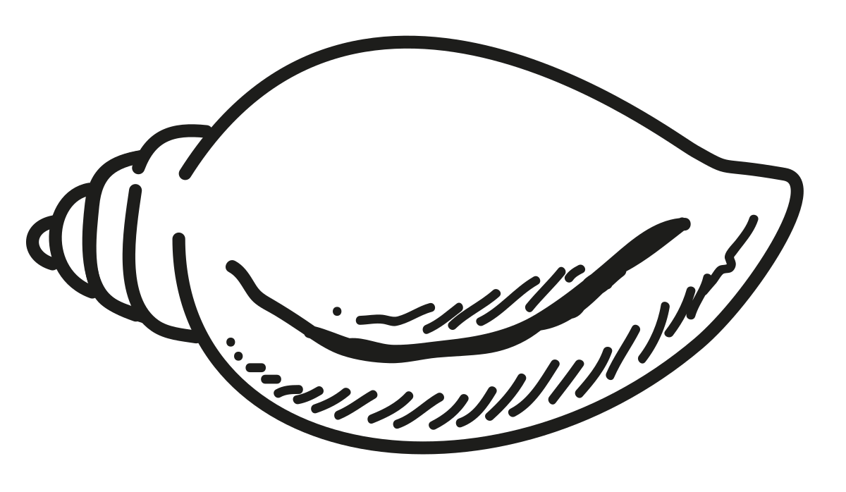 ବିଜେଡ଼ି ପାଇଛି ୬୭ କୋଟିର ବେନାମୀ ଚାନ୍ଦା