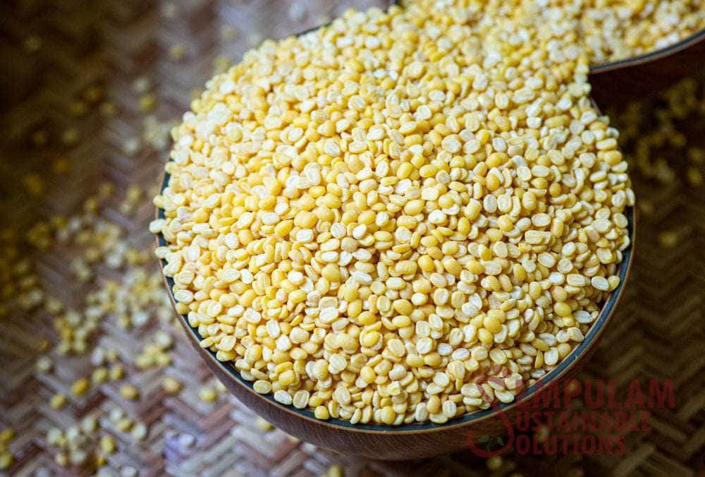 ଏମାନେ ଭୁଲରେ ଖାଆନ୍ତୁ ନାହିଁ ମୁଗ ଡାଲି 
