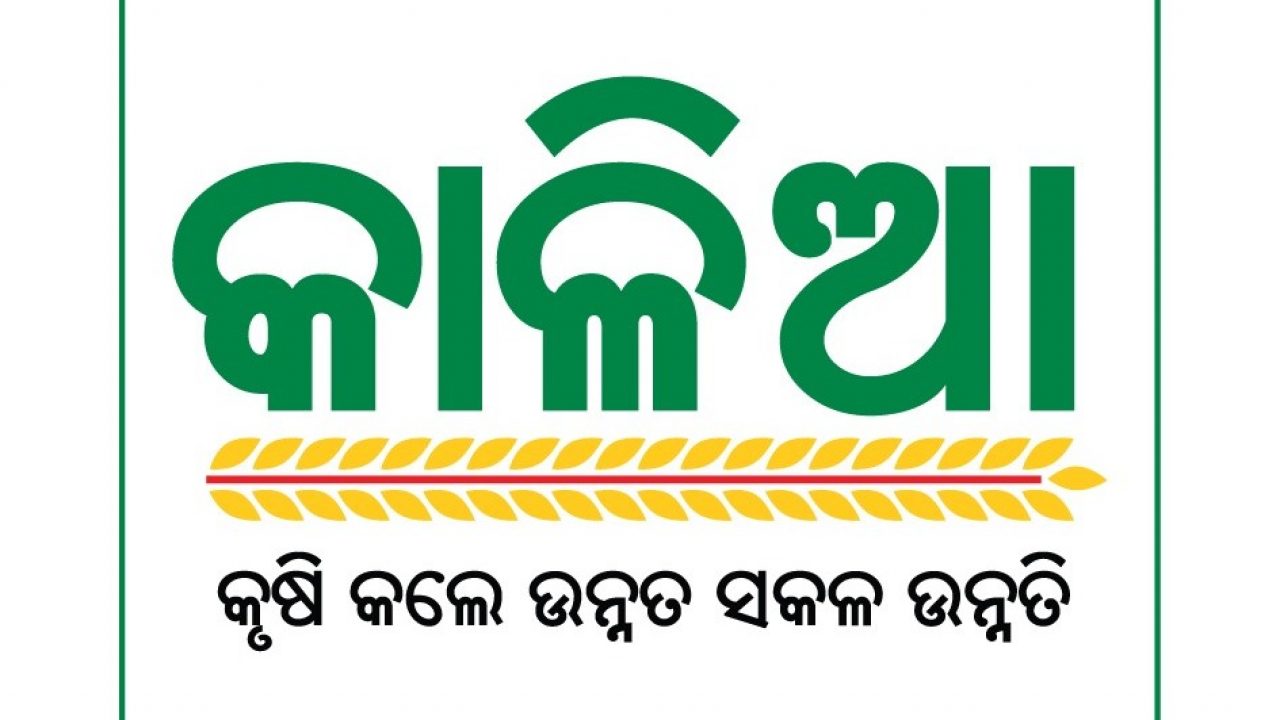 ଆଜି ଚାଷୀଙ୍କୁ ମିଳିବ କାଳିଆ  ଟଙ୍କା