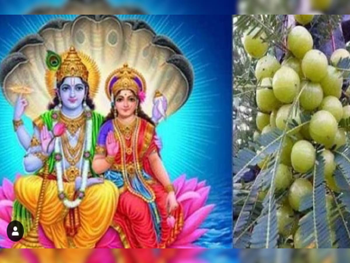 ଆଜି ପବିତ୍ର ଅଁଳା ନବମୀ