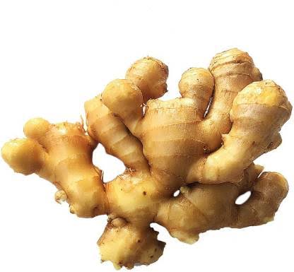 ଶୀତ ଦିନେ ଦିନେ ଅନେକ ରୋଗରୁ ମୁକ୍ତି ଦିଏ ଅଦା 