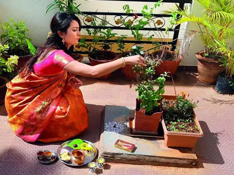 ଆର୍ଥିକ ସମସ୍ୟା ଦେଖାଯାଉଛି କି? ତୁଳସୀ ପୂଜା କରନ୍ତୁ 
