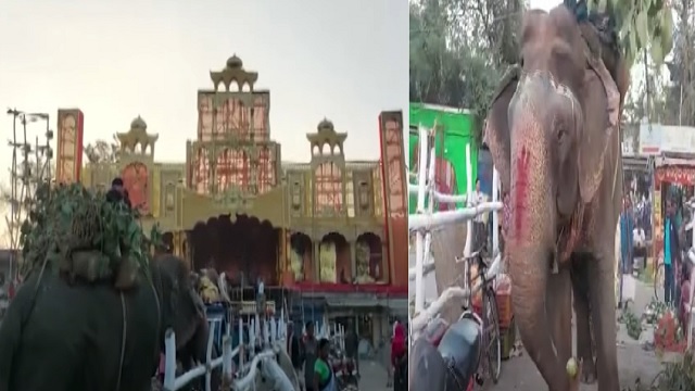 ଆଜିଠୁ କଂସ ରାଜୁତି, ବିଶ୍ୱପ୍ରସିଦ୍ଧ ଧନୁଯାତ୍ରା ଆରମ୍ଭ