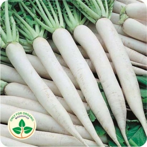 କିପରି ମୂଳାକୁ ଅଧିକ ଦିନ ରଖିବେ ତାଜା, ଜାଣନ୍ତୁ 