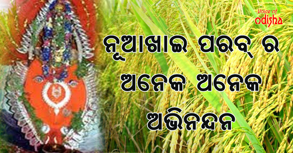 ଆଜି ନୂଆଖାଇ