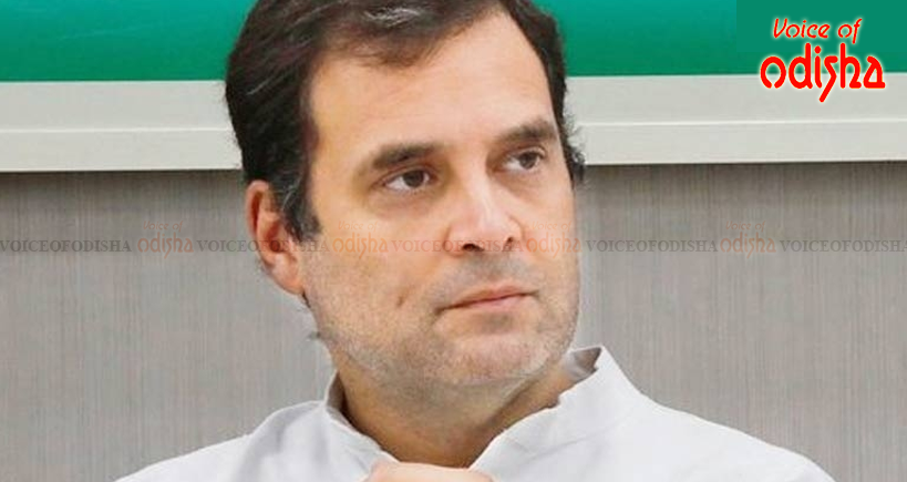 ସଂସଦ କମିଟିରେ ସାମିଲ ହେଲେ ରାହୁଲ