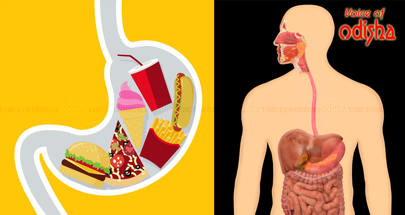 ହଜମ କ୍ଷମତା ବଢ଼ାଇବା ଉପାୟ