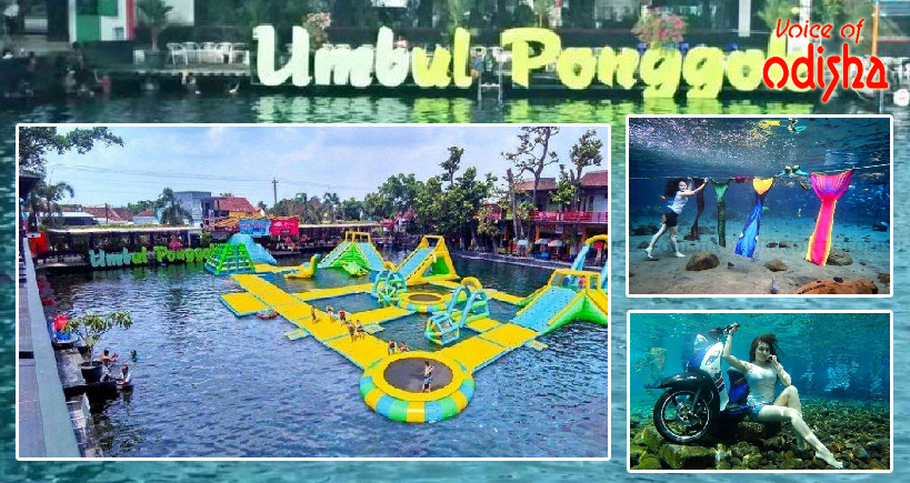 ଗ୍ରାମୀଣ ଅର୍ଥନୀତିକୁ ବଦଳାଇଦେଇଥିବା ପୁଷ୍କରିଣୀ