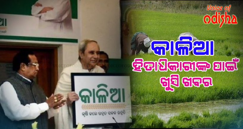 ନଭେମ୍ବରରେ ‘କାଳିଆ’ ଦ୍ୱିତୀୟ କିସ୍ତି