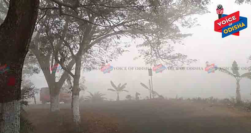 ତିନି ଜିଲ୍ଲାରେ କୁହୁଡ଼ି ପଡ଼ିବ