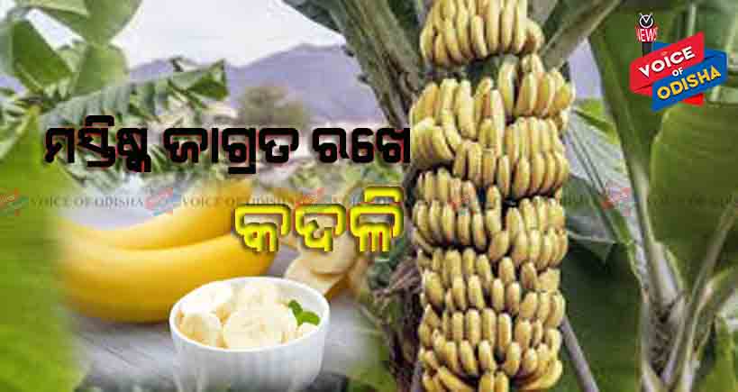 ମସ୍ତିଷ୍କ ଜାଗ୍ରତ ରଖେ କଦଳୀ