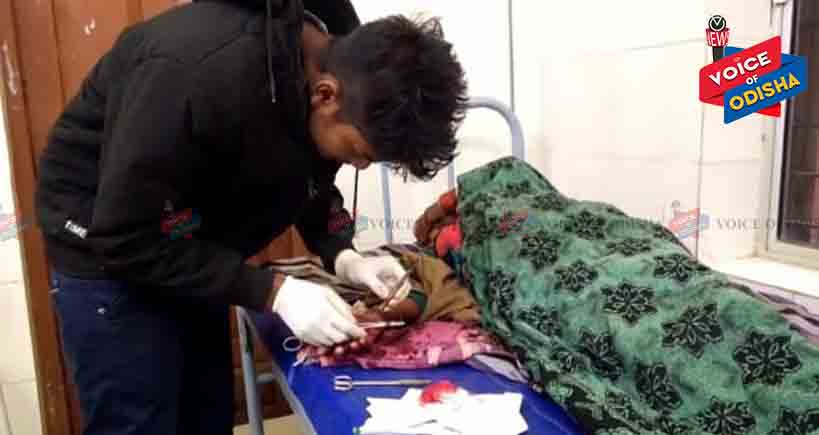 ଭାଲୁ ଆକ୍ରମଣରେ ବୃଦ୍ଧା ଗୁରୁତର ...