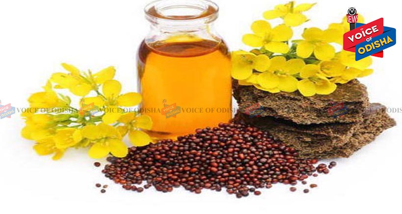 ରୋଗ ପ୍ରତିରୋଧକ ଶକ୍ତି ବଢାଏ ଷୋରିସ ତେଲ