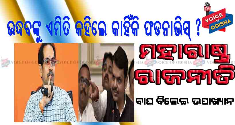 ମୁଖ୍ୟମନ୍ତ୍ରୀ ଉଦ୍ଧବ ଠାକେର ବାଘରୁ ହେଲେ ବିଲେଇ ...!