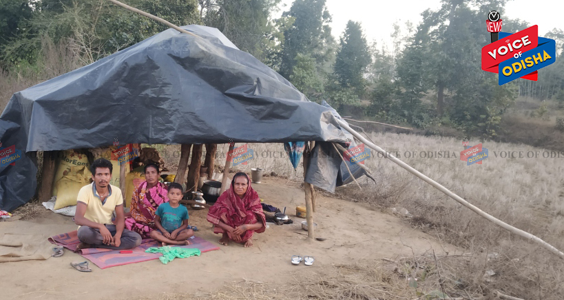 ଆବାସ ଯୋଜନା ବାଟବଣା, ଭଙ୍ଗା କୁଡିଆରେ ରହୁଛନ୍ତି ଉଜଲୀ ମାଝୀ ପରିବାର