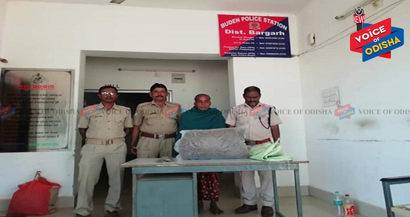 ଗଂଜେଇ ବେପାରୀ ଲବ ସାହୁ ଗିରଫ