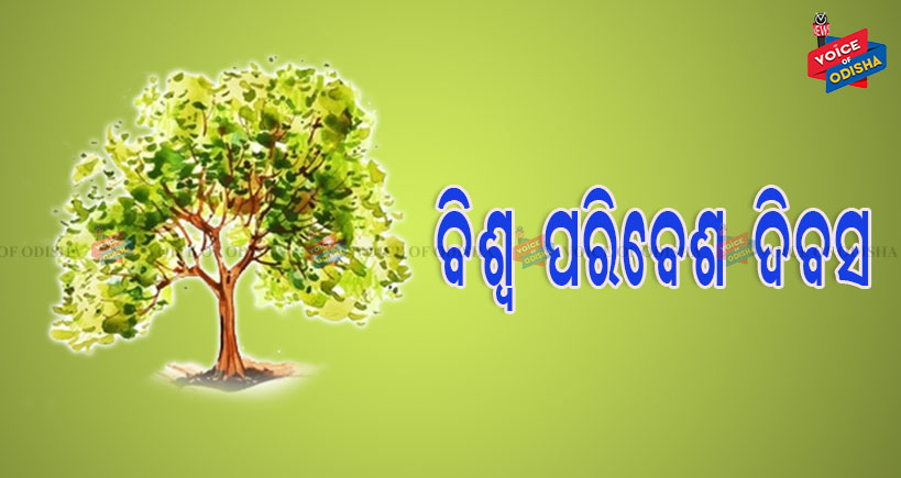 ଆଜି ବିଶ୍ୱ ପରିବେଶ ଦିବସ ।