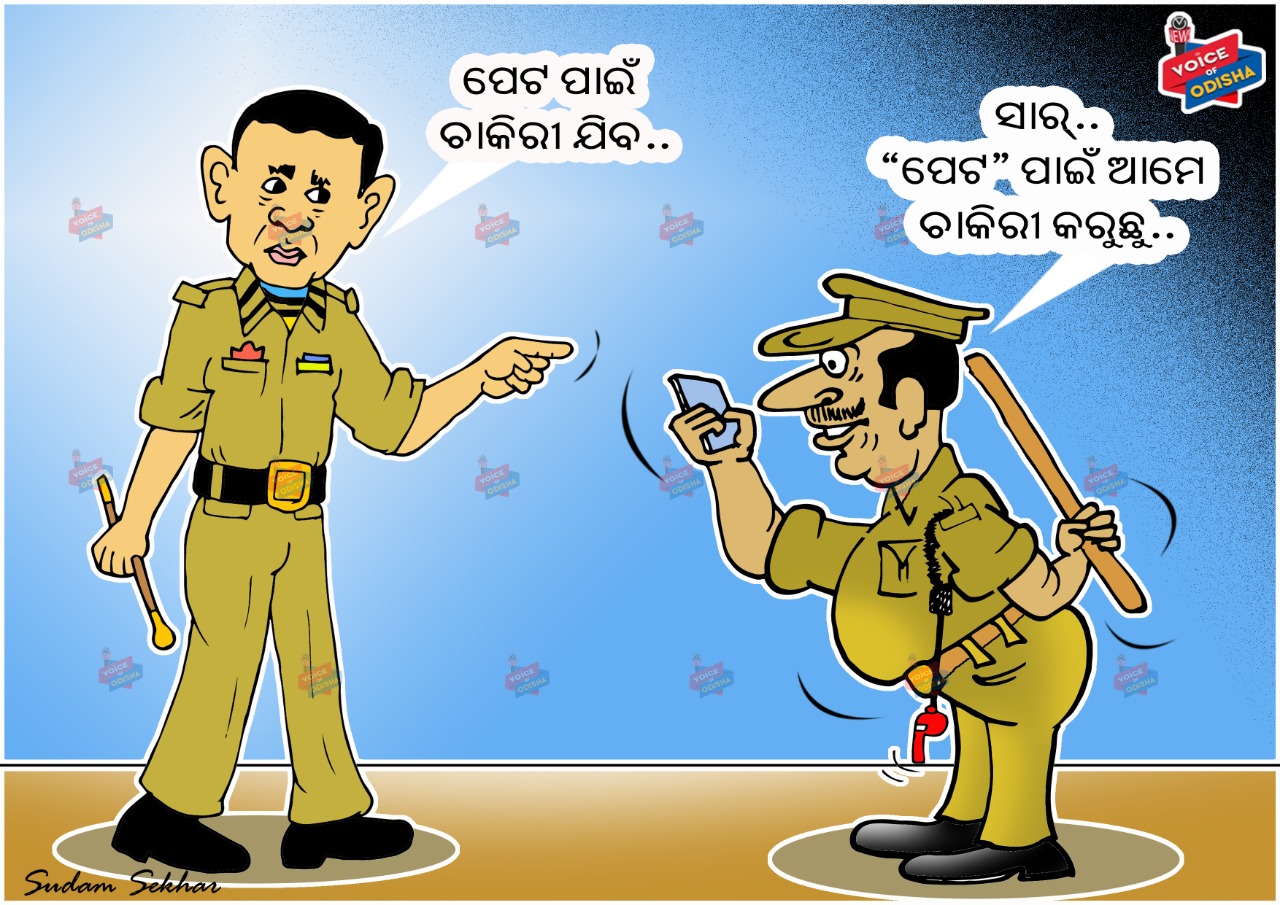 ପେଟ ପାଇଁ ନାଟ 