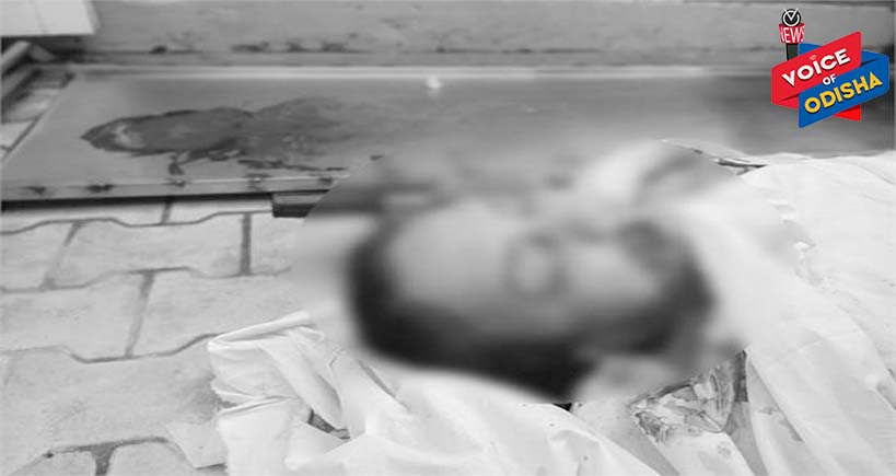 ଶବଗୃହରେ ମହିଳାଙ୍କ ଶବକୁ ଖାଇଲା ମୂଷା