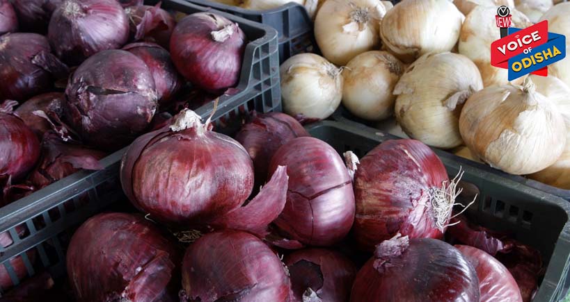 ପିଆଜରୁ ବ୍ୟାପୁଛି ନୂତନ ରୋଗ : ଆମେରିକାରେ ୫୦୦ ଜଣ ଆକ୍ରାନ୍ତ