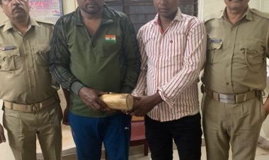 3 kg tusk seized, 2 smugglers arrested in Bhubaneswar